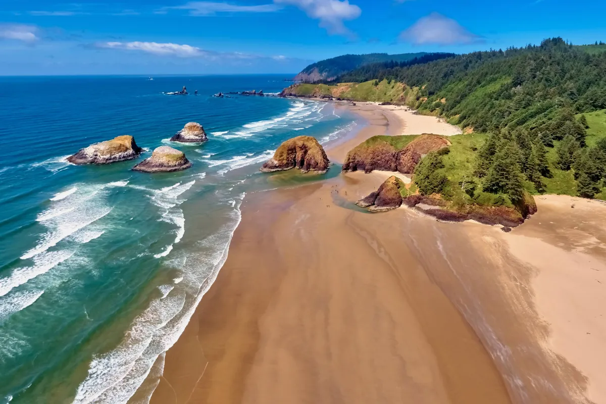 An open, grassy outdoor space overlooking the beach, with picnic areas and gentle ocean waves in the background. Rock formations and green hills add natural beauty, and the area invites outdoor meals, relaxation, and playful activities for kids and pets. The setting feels peaceful yet vibrant, ideal for community gatherings.